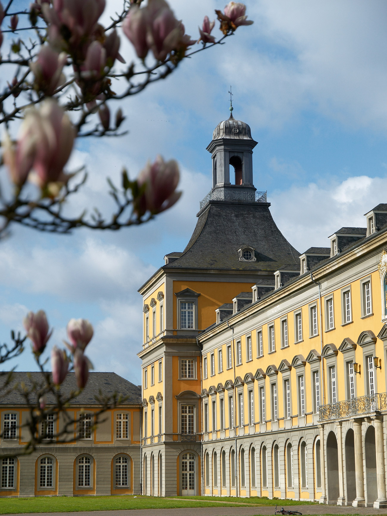 Foto: Dr. Thomas Mauersberg/Uni Bonn