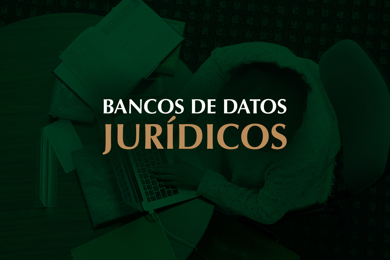 Logotipo de Bancos de Datos Jurídicos