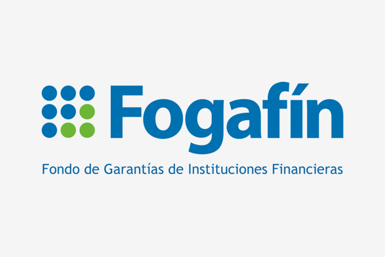 Fondo de Garantías de Instituciones Financieras