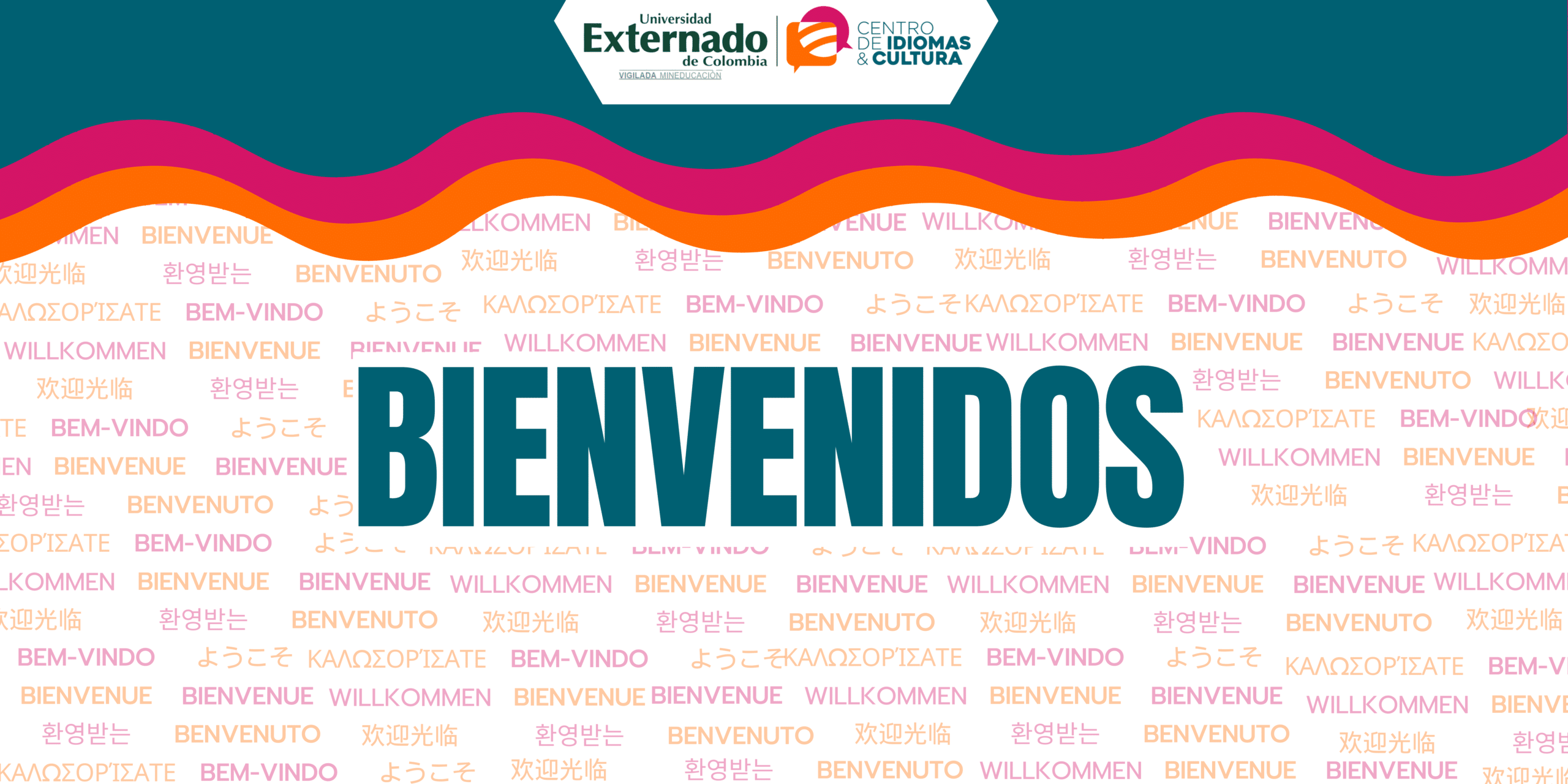 Bienvenidos - Universidad Externado de Colombia