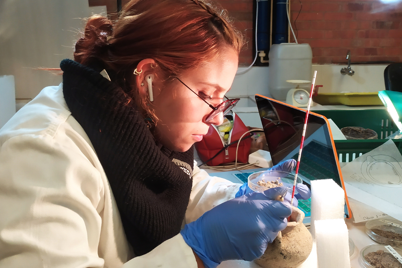 Programa de arqueología